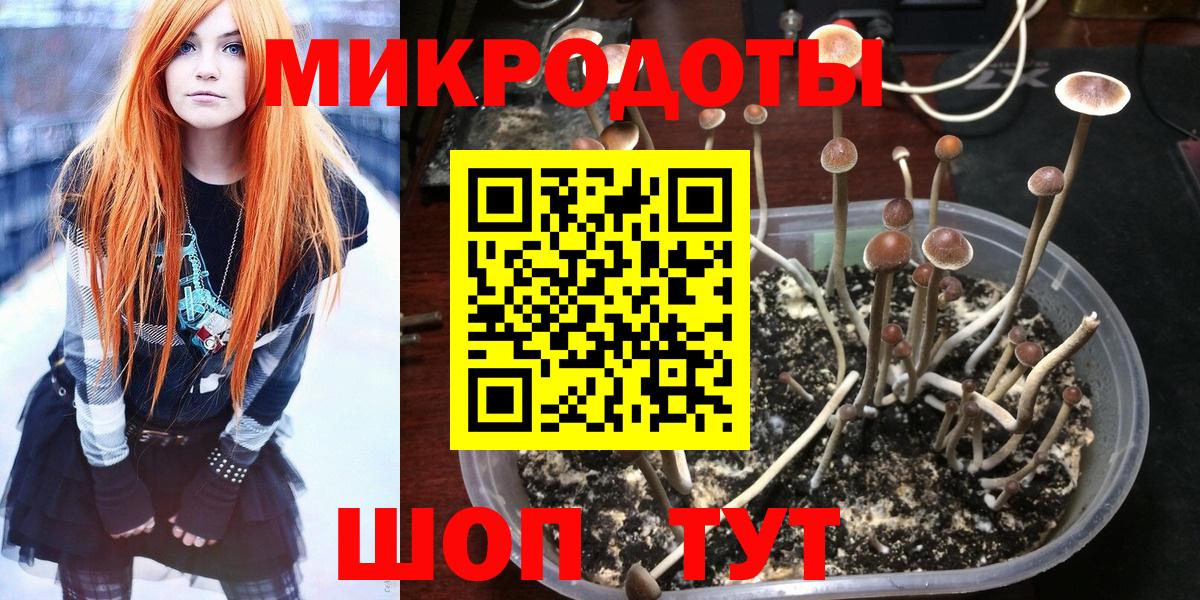 Псилоцибиновые грибы MAGIC MUSHROOMS Ливны