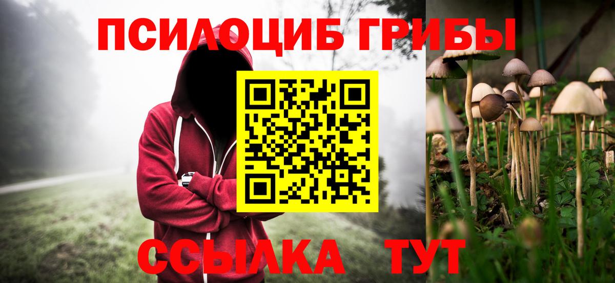 Галлюциногенные грибы ЛСД  Галлюциногенные грибы мицелий  Ливны  Вход с VPN 